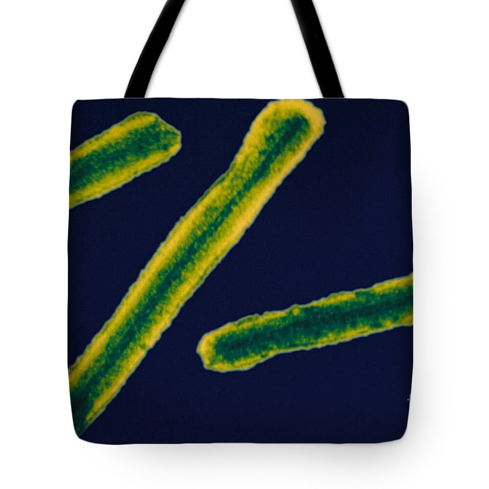 Filovirus Tote Bag featuring the photograph Marburg Virus, Tem #11 by Science Source