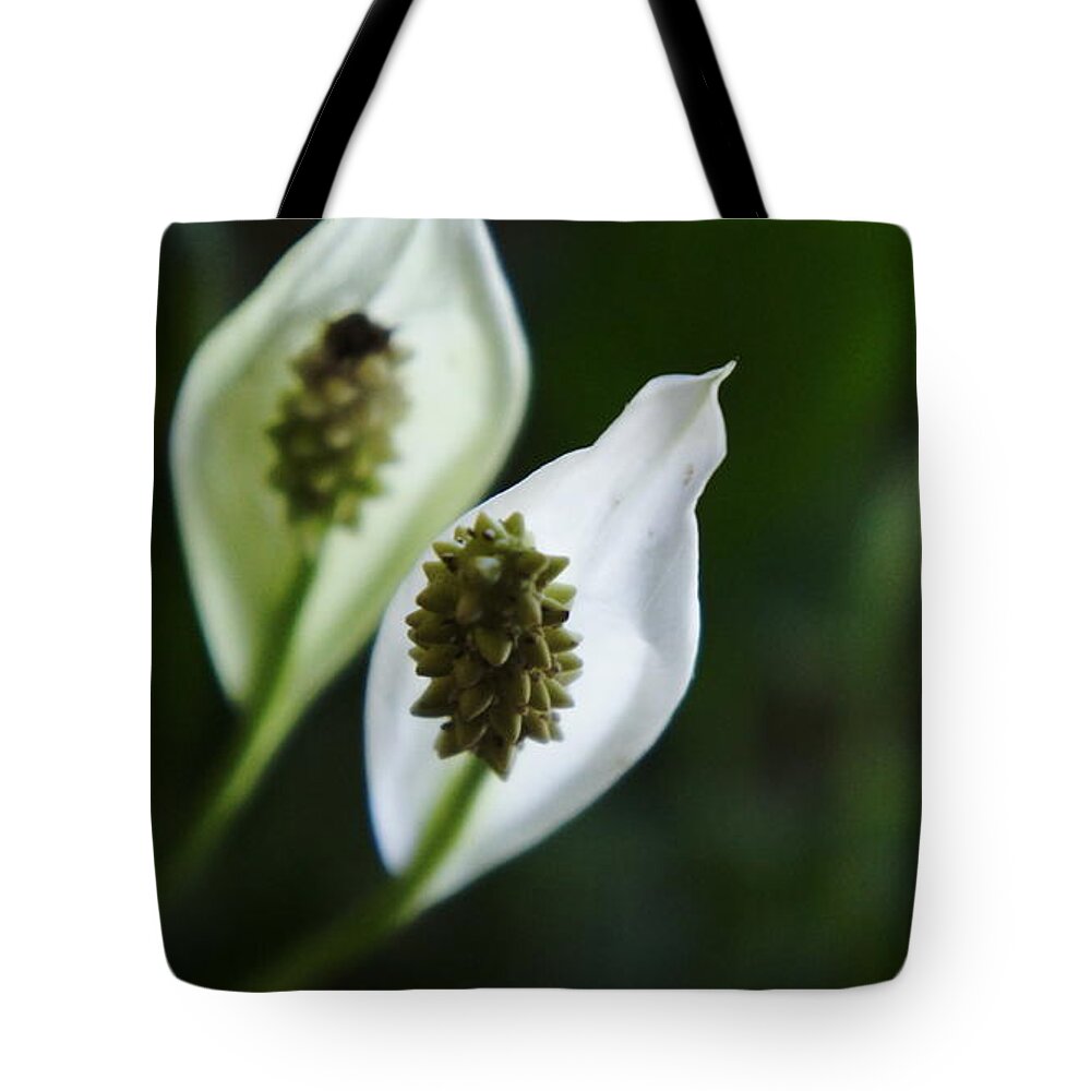  Tote Bag featuring the photograph My room up close 1 #12 by Myron Belfast