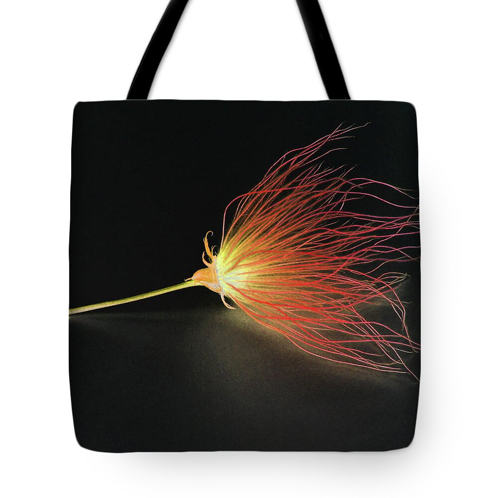 Flora Tote Bag featuring the photograph 1561 by Peter Holme III
