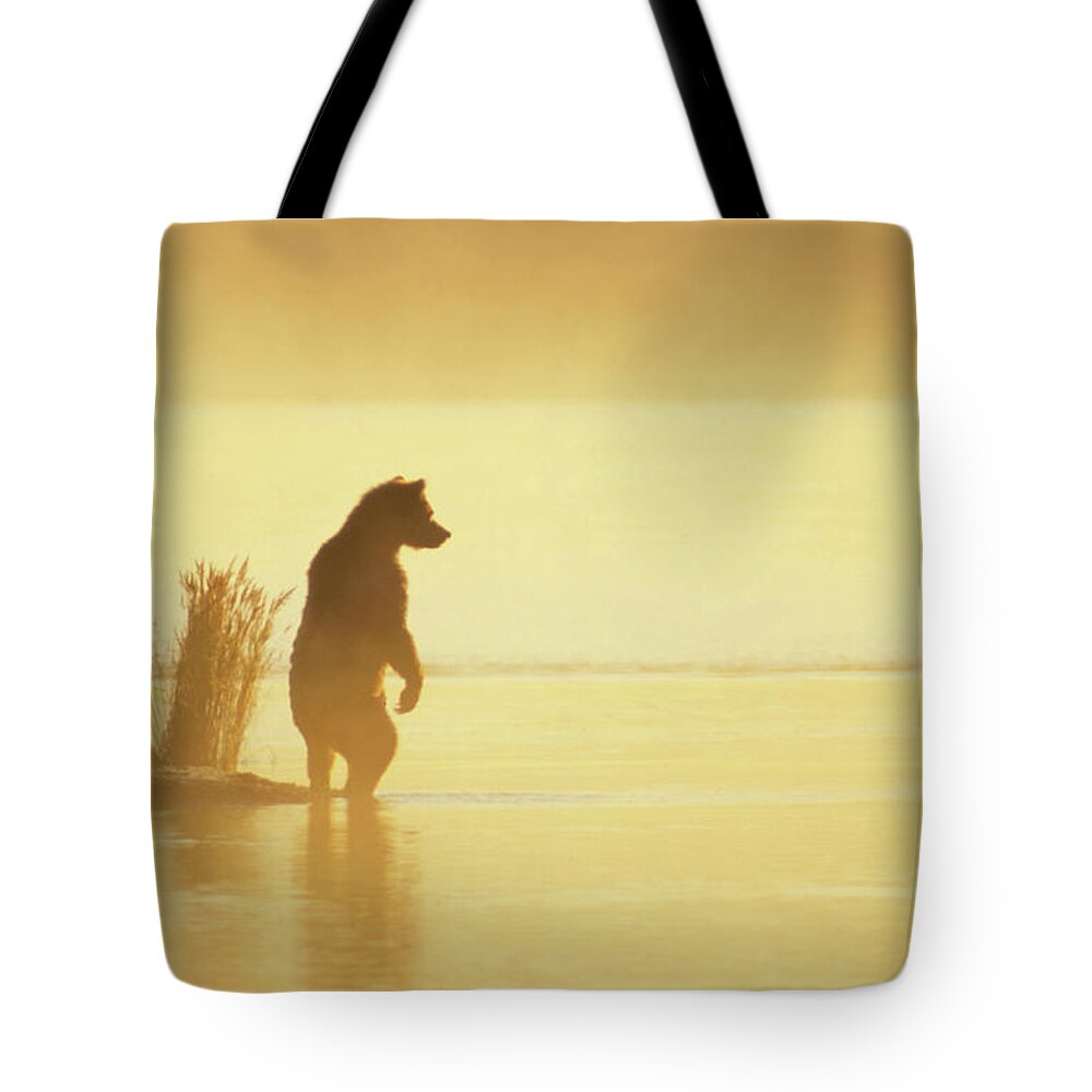 Mp Tote Bag featuring the photograph Grizzly Bear Ursus Arctos Horribilis #18 by Matthias Breiter