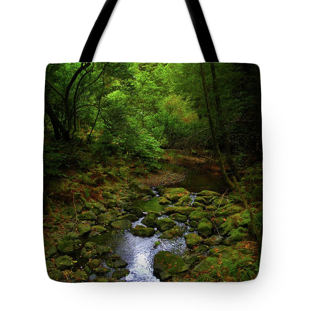 Stream Tote Bag featuring the photograph 1886 by Peter Holme III