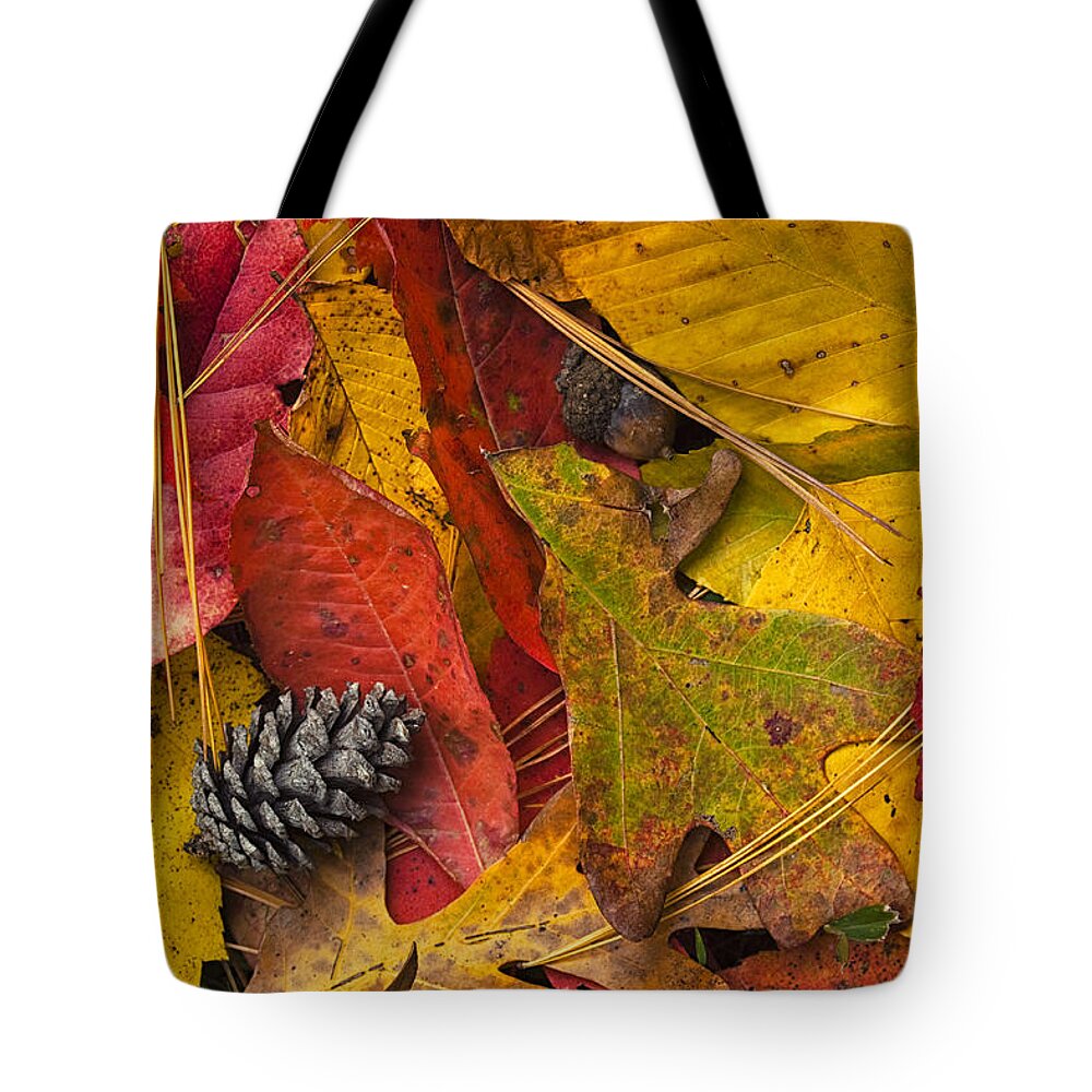 Autumn Tote Bag featuring the photograph Autumn Colors #2 by Andrew Soundarajan