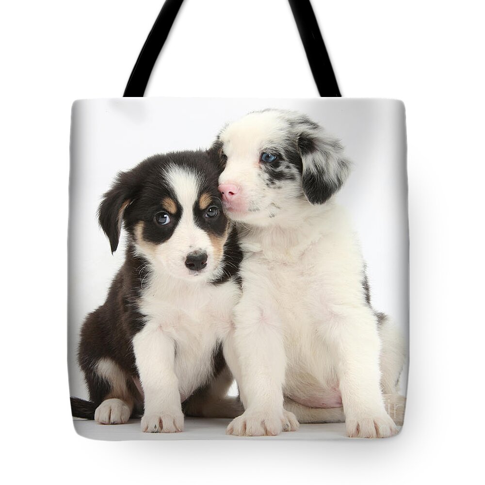 Animal Tote Bag featuring the photograph Boreder Collie Puppies #2 by Mark Taylor