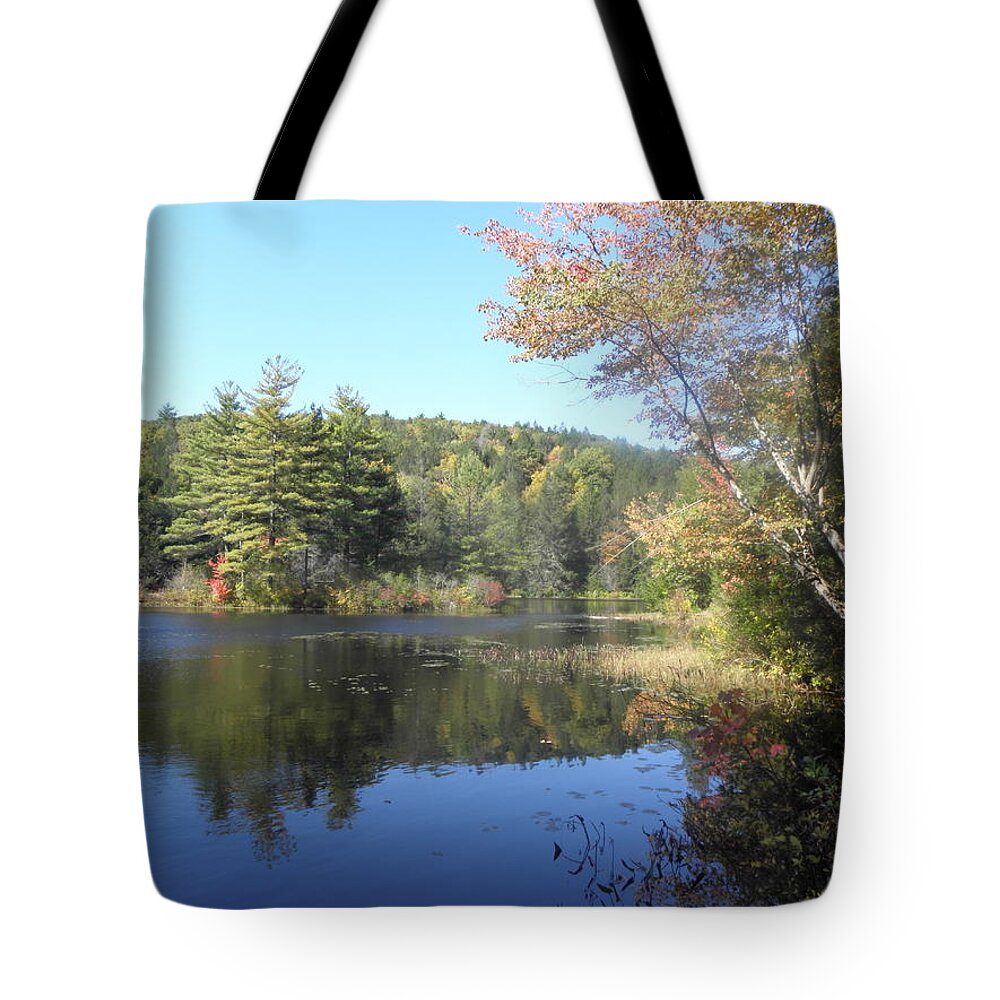 Fall Tote Bag featuring the photograph Fall in New England #2 by Kim Galluzzo