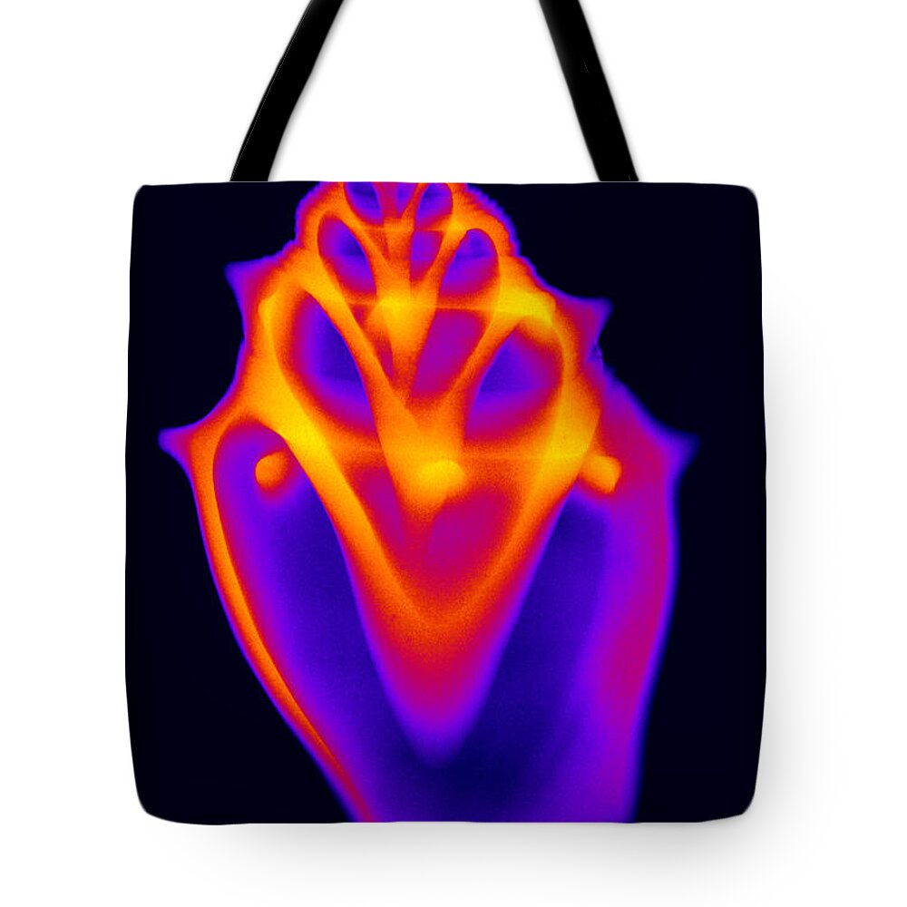 X-ray Tote Bag featuring the Fighting Conch Shell #2 by Ted Kinsman