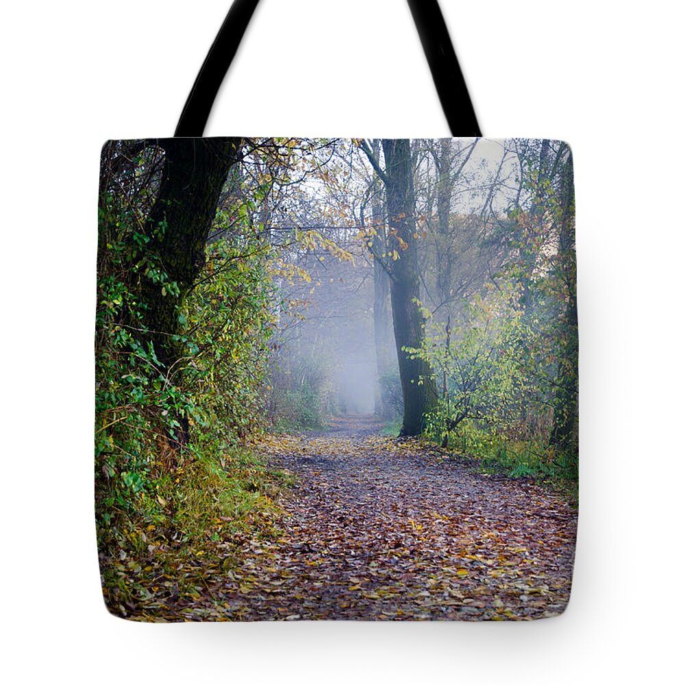 Road Tote Bag featuring the photograph Foggy road #2 by Mats Silvan