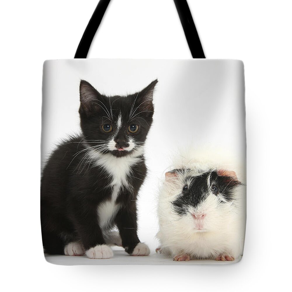 Nature Tote Bag featuring the photograph Kitten And Guinea Pig #2 by Mark Taylor
