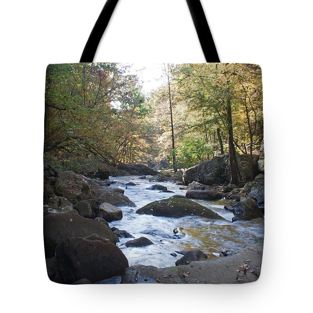 Laurel Creek Tote Bag featuring the photograph Laurel Creek #2 by David Troxel