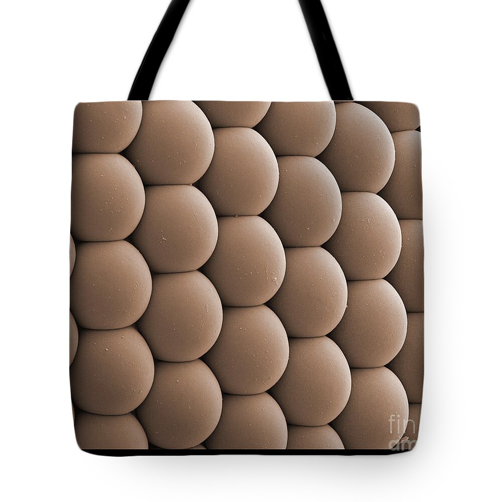 Mosquito Tote Bag featuring the photograph Mosquitos Eye #2 by Ted Kinsman
