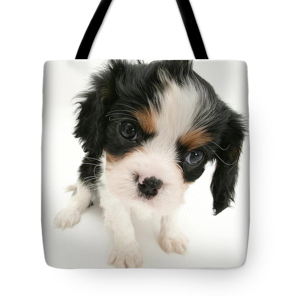 Animal Tote Bag featuring the photograph Puppy #2 by Jane Burton