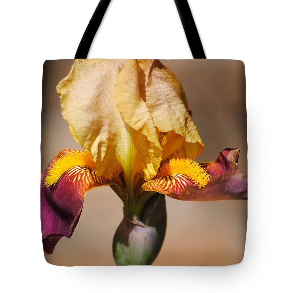 Beautiful Iris Tote Bag featuring the photograph Purple and Yellow Iris by Jai Johnson