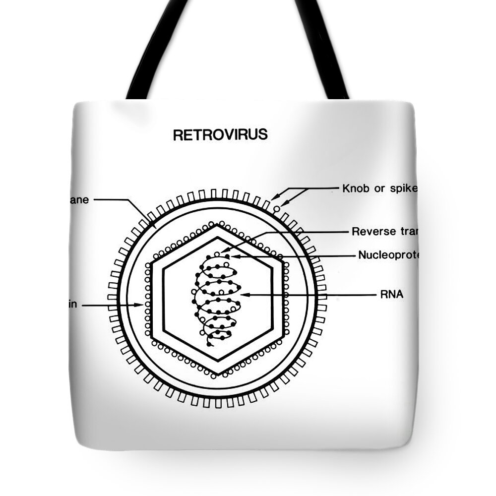 Science Tote Bag featuring the photograph Retrovirus #2 by Science Source