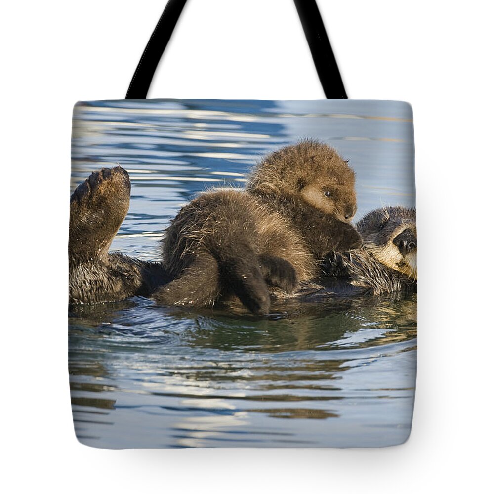 00429659 Tote Bag featuring the photograph Sea Otter Mother And Pup Elkhorn Slough by Sebastian Kennerknecht