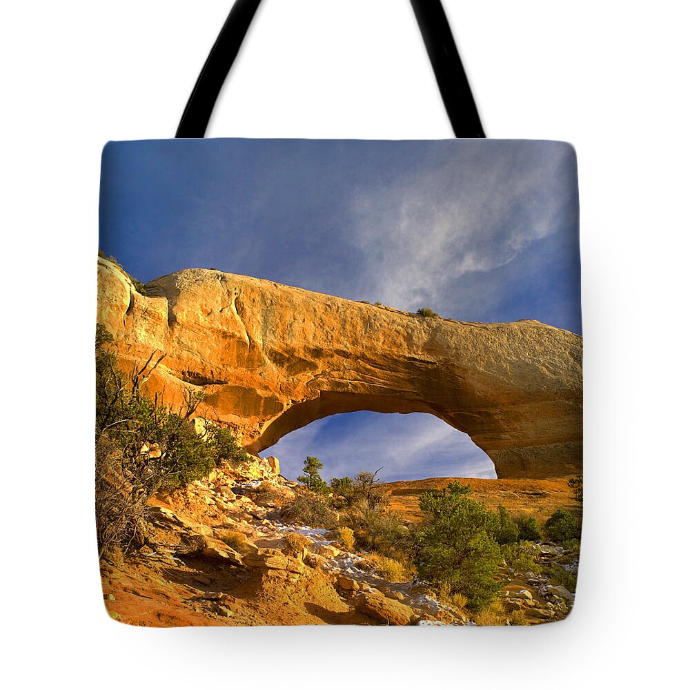 00175492 Tote Bag featuring the photograph Wilson Arch With A Span Of 91 Feet #2 by Tim Fitzharris
