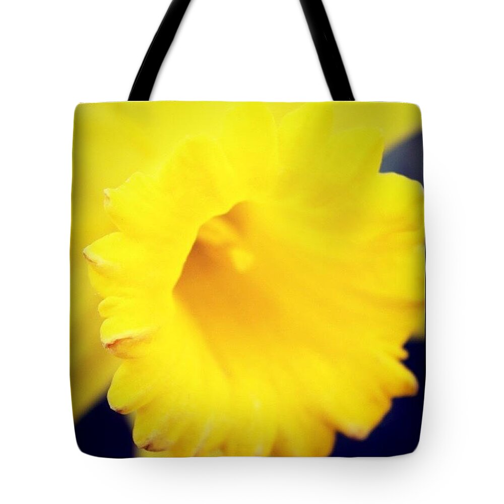 Flower Tote Bag featuring the photograph Macro Daffodil by Justin Connor