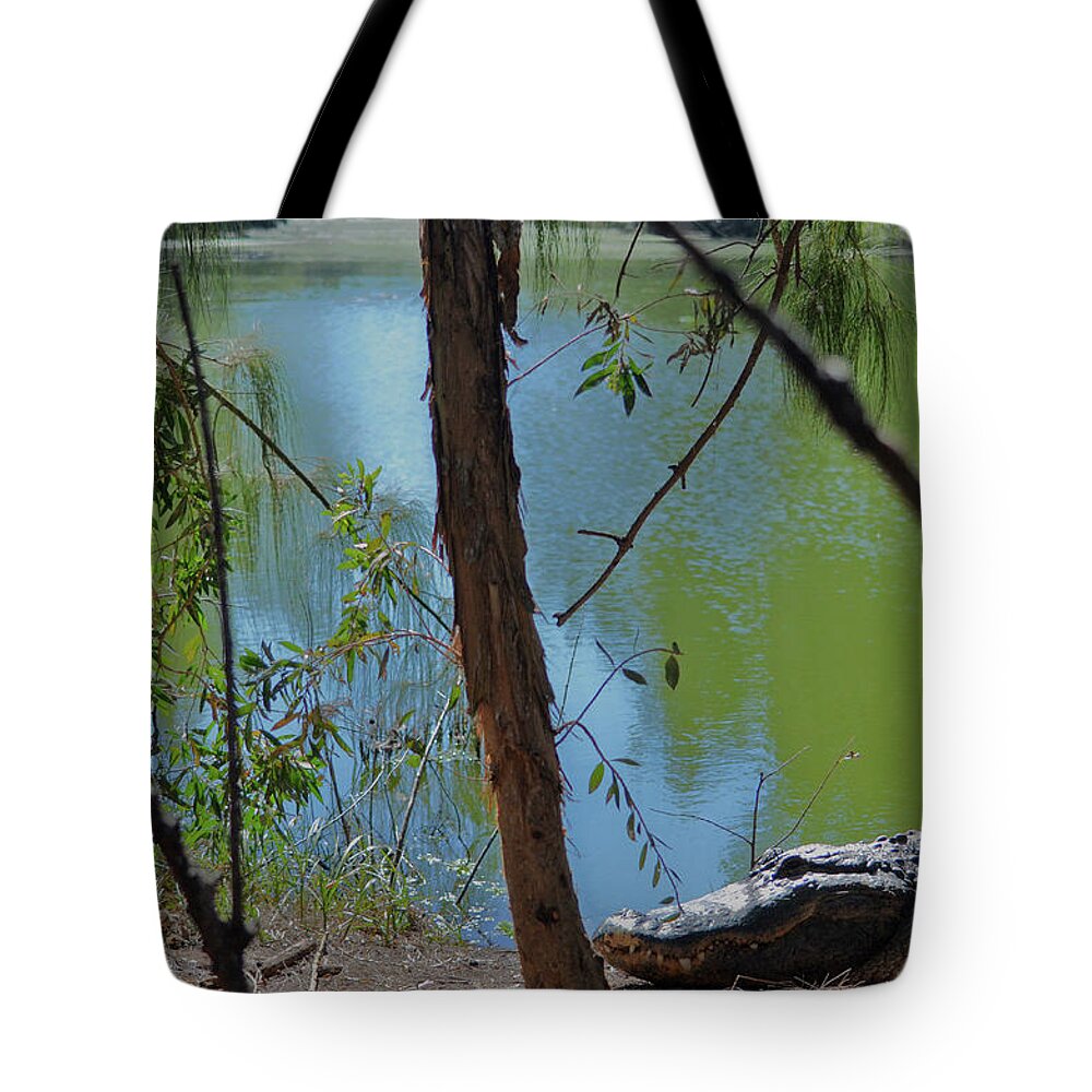 Grassy Waters Preserve Tote Bag featuring the photograph 21- King Of The Swamp by Joseph Keane