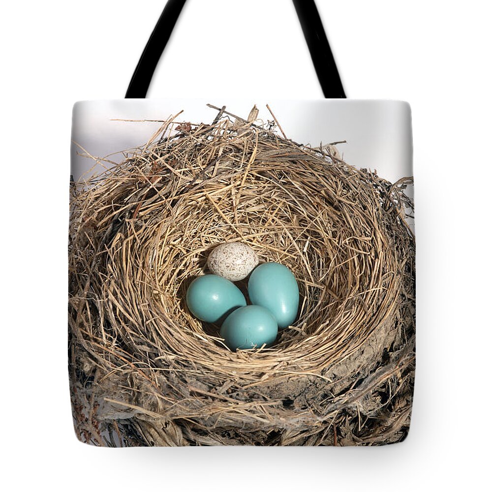 American Robin Tote Bag featuring the photograph Robins Nest And Cowbird Egg #3 by Ted Kinsman