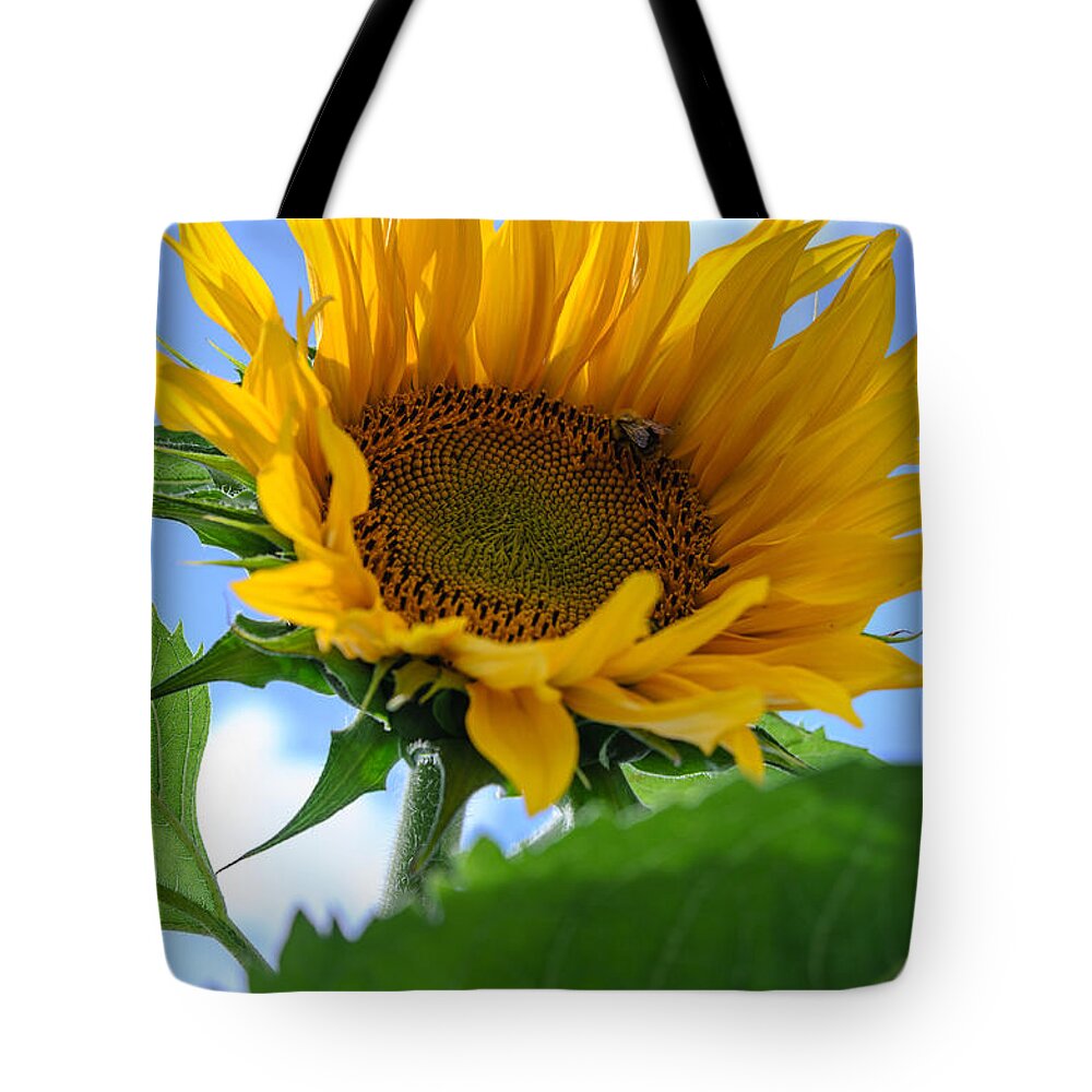 Orange Tote Bag featuring the photograph Sunflower #3 by Michael Goyberg