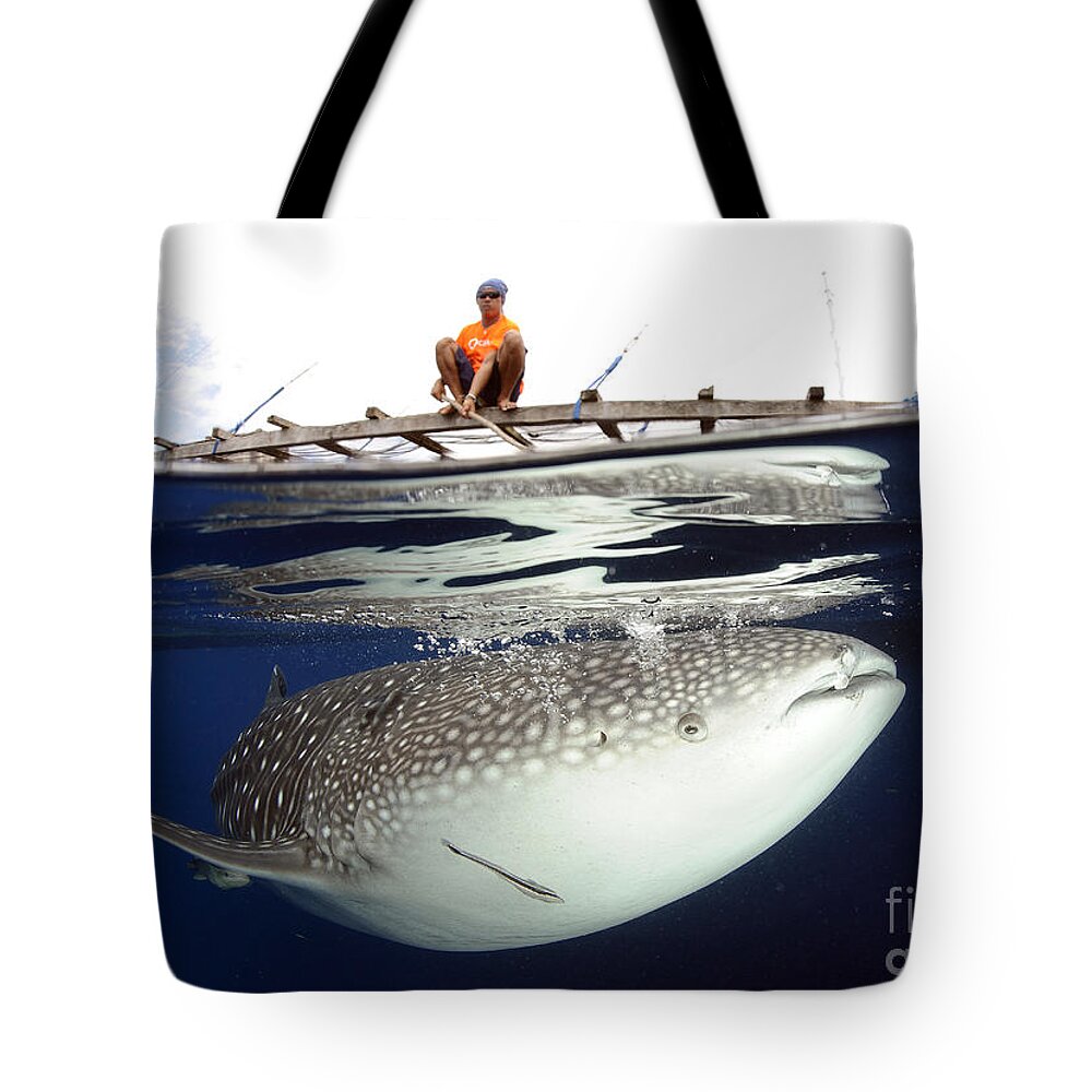 Day Tote Bag featuring the photograph Whale Shark Feeding Under Fishing #37 by Steve Jones