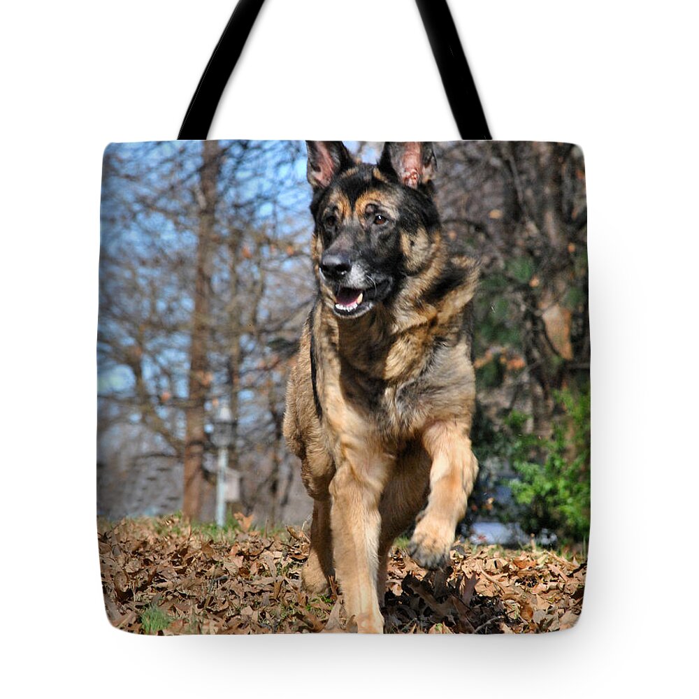 Animal Tote Bag featuring the photograph German Shepherd by Jai Johnson