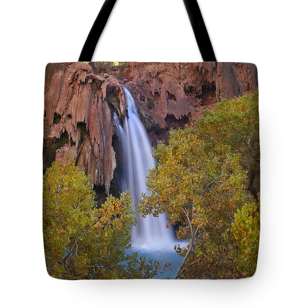 00438949 Tote Bag featuring the photograph Havasu Falls Grand Canyon Arizona #4 by Tim Fitzharris
