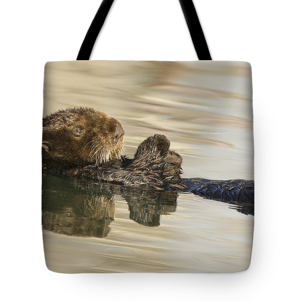 00429660 Tote Bag featuring the photograph Sea Otter Elkhorn Slough Monterey Bay #4 by Sebastian Kennerknecht