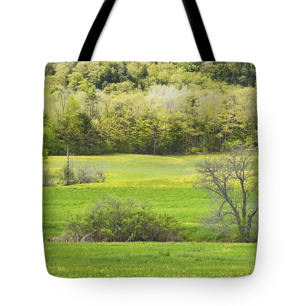 Spring Tote Bag featuring the photograph Spring Farm Landscape With Dandelion bloom in Maine #4 by Keith Webber Jr