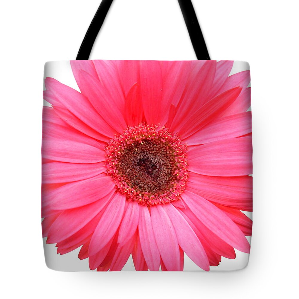 Gerbera Photographs Tote Bag featuring the photograph 5557 by Kimberlie Gerner Wells