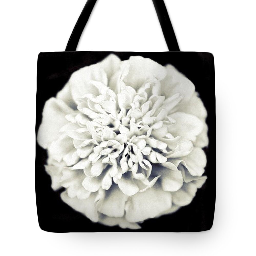 Monochrome Tote Bag featuring the photograph Contrast Flower by Justin Connor