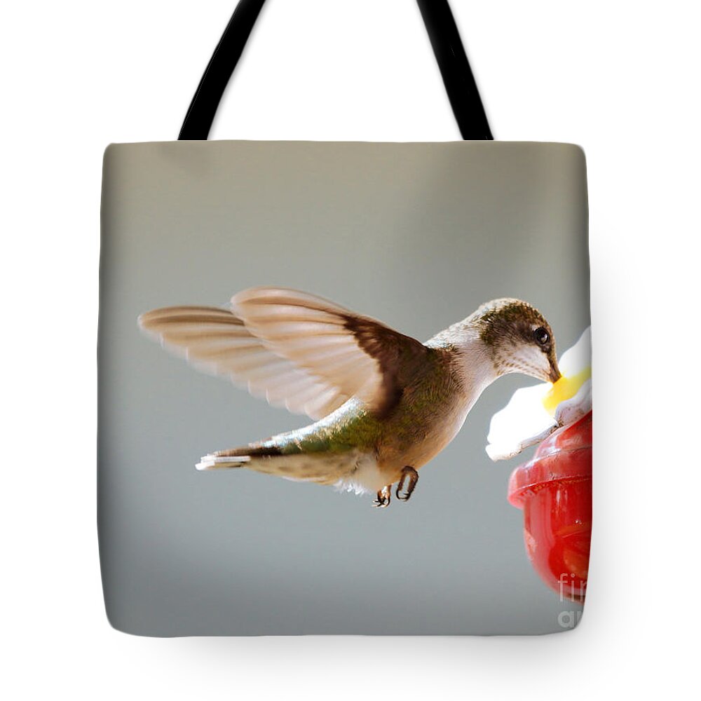 Birds Tote Bag featuring the photograph Hummingbird #6 by Lori Tordsen