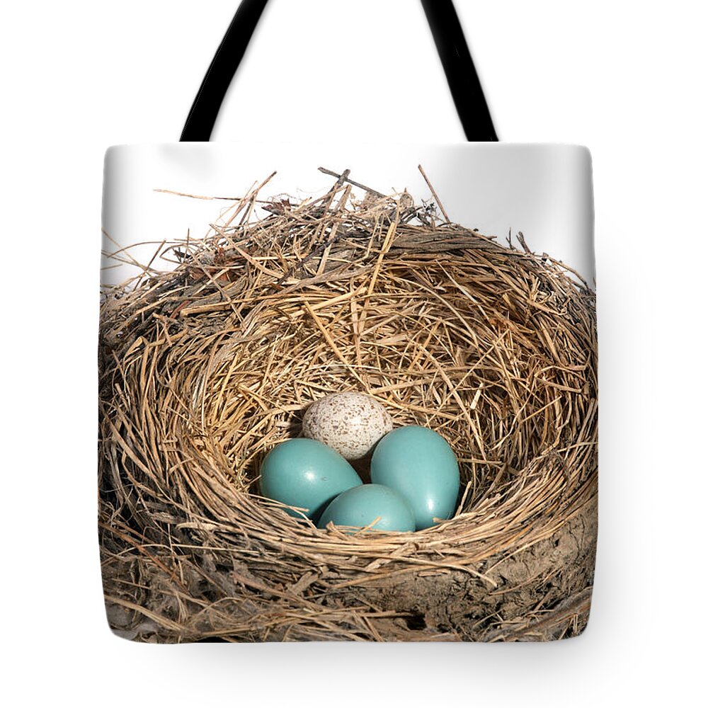 American Robin Tote Bag featuring the Robins Nest And Cowbird Egg #6 by Ted Kinsman