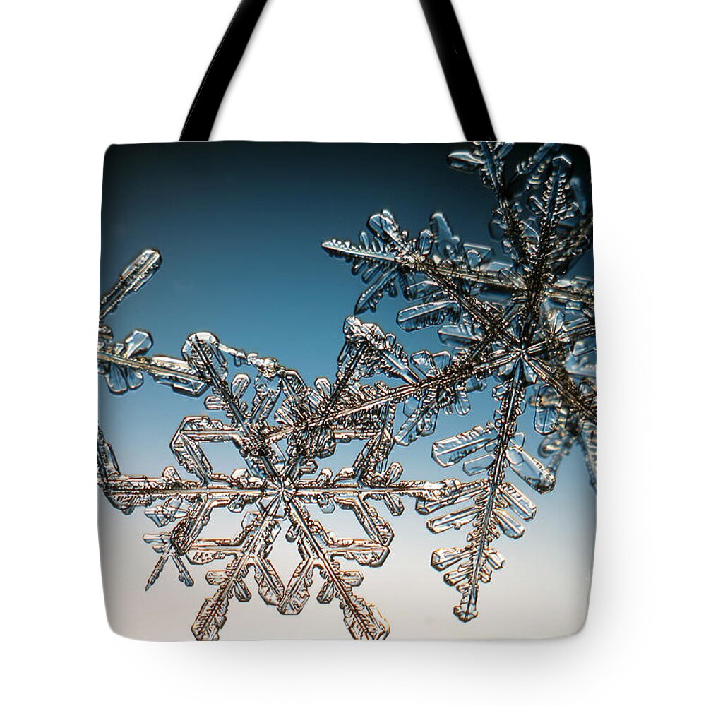 Snowflake Tote Bag featuring the photograph Snowflake #68 by Ted Kinsman