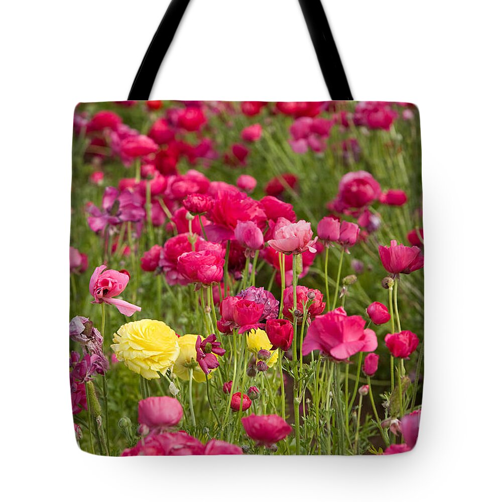 Flowers Tote Bag featuring the photograph Flower Fields #7 by Daniel Knighton