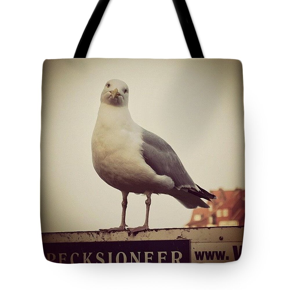 Instaaaaah Tote Bag featuring the photograph Instagram Photo #871349006093 by Silva Halo