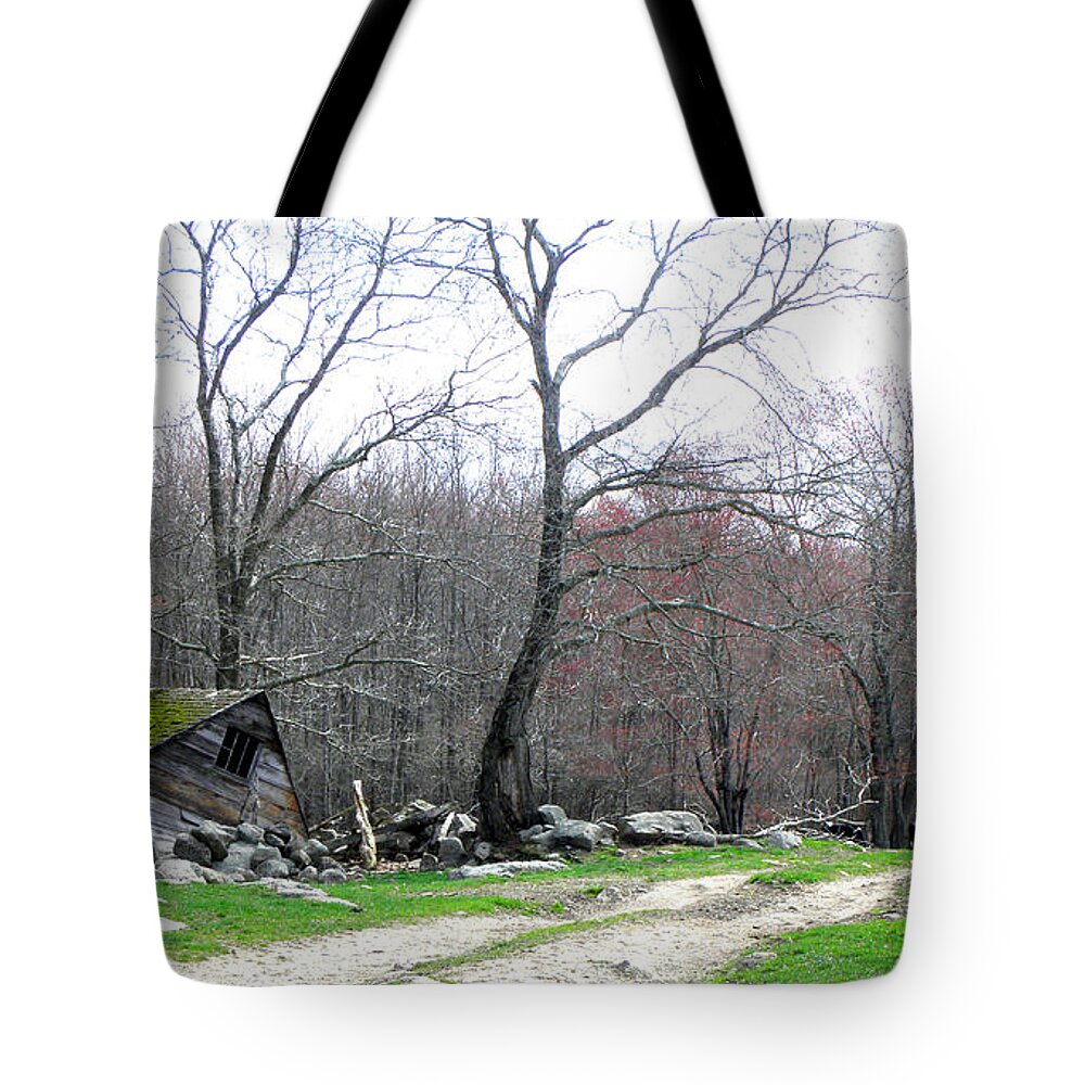 History Tote Bag featuring the photograph A Barn That Once Was by Kim Galluzzo