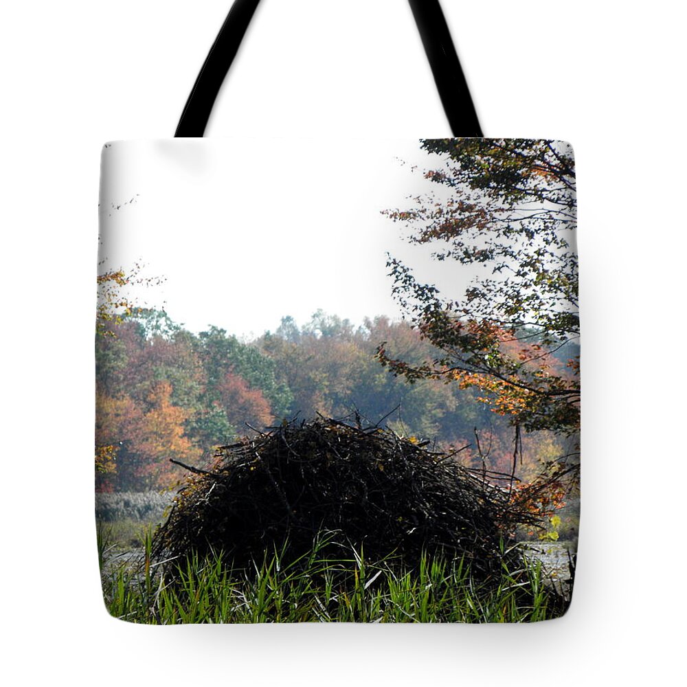 Beaver Tote Bag featuring the photograph A Beavers Home by Kim Galluzzo