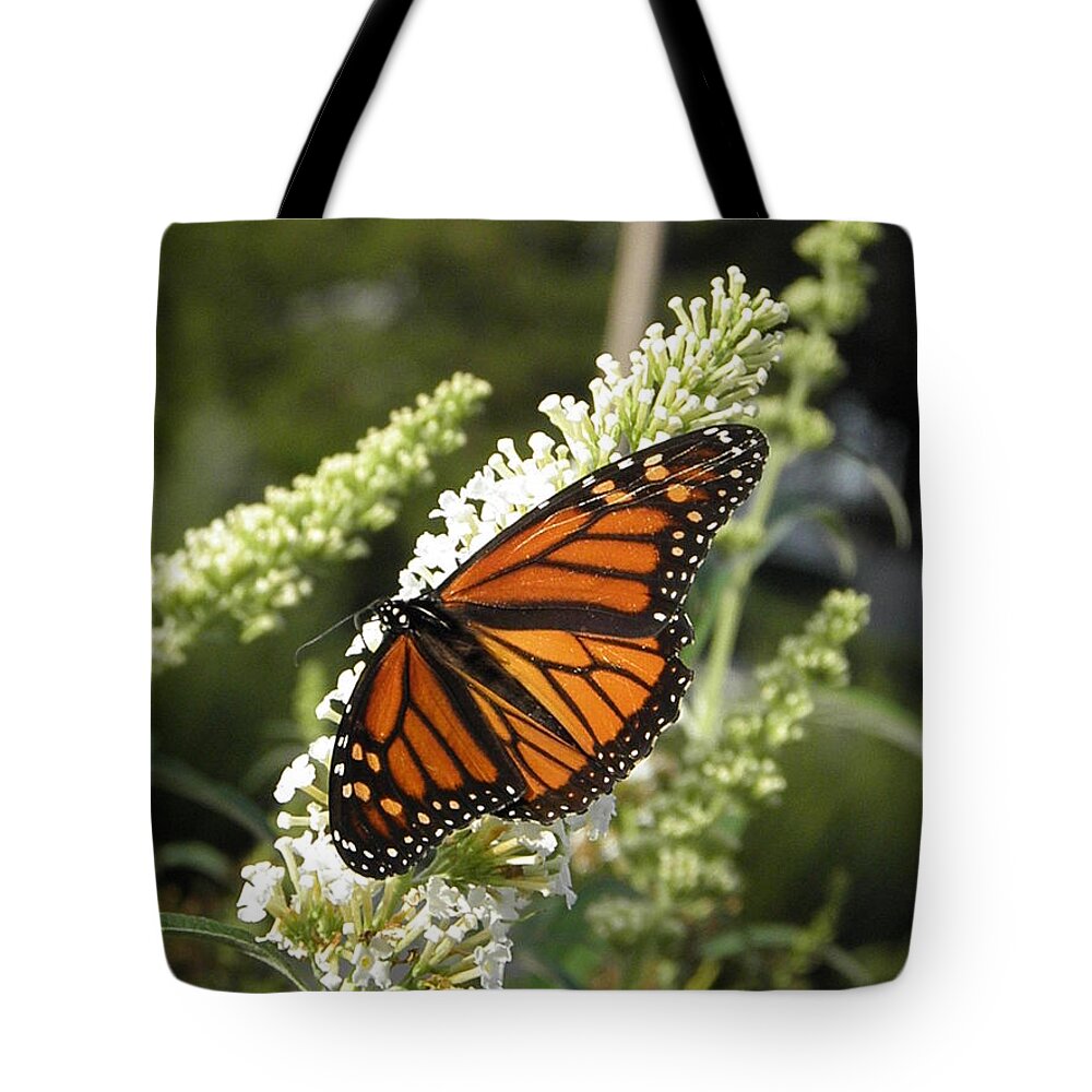Monarch Tote Bag featuring the photograph A Capture Of Beauty by Kim Galluzzo