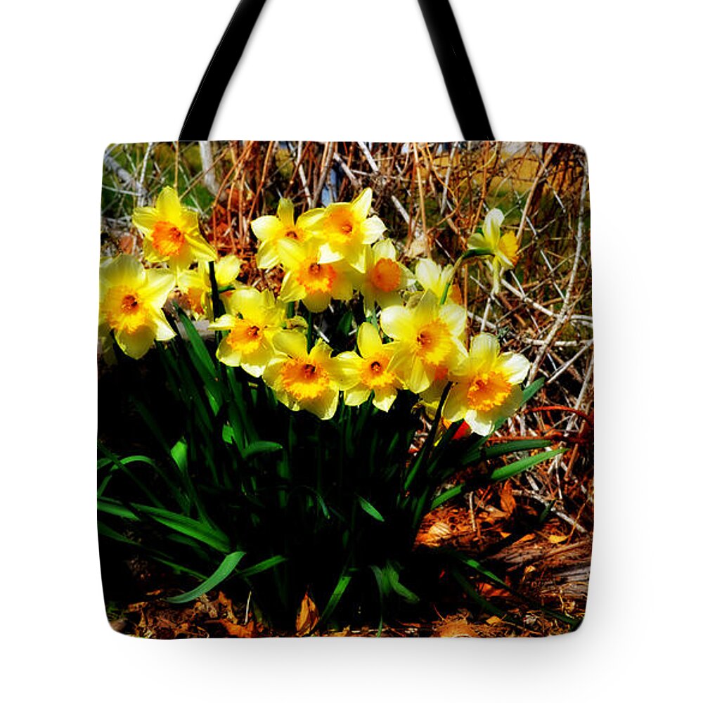Daffodils Tote Bag featuring the photograph A Crowd by Diane montana Jansson