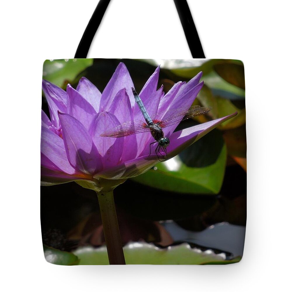 Dragonfly Tote Bag featuring the photograph A Dragonfly Guarding His Water Lily by Chad and Stacey Hall