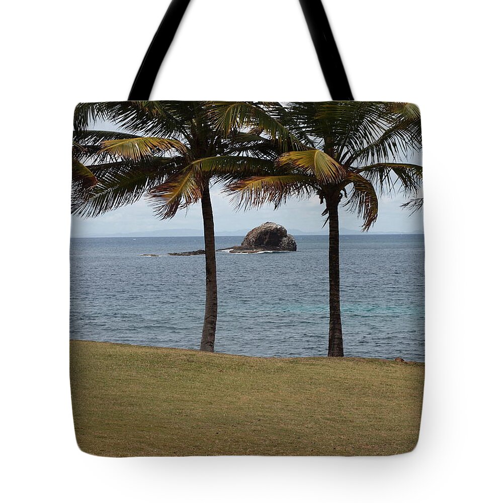 Island Photography Tote Bag featuring the photograph A Good Resting Place by Robert Margetts