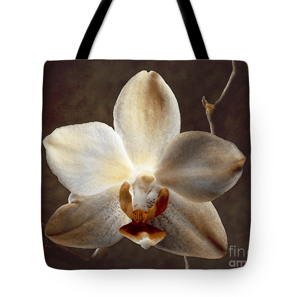 A Light From Within Tote Bag featuring the photograph A Light From Within by Arne Hansen