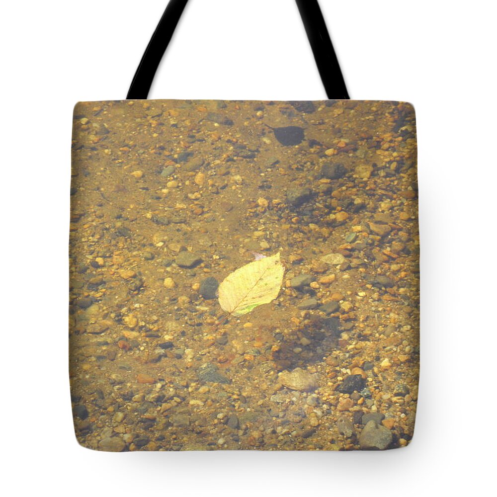 Leaf Tote Bag featuring the photograph A Lonely Floater by Kim Galluzzo Wozniak