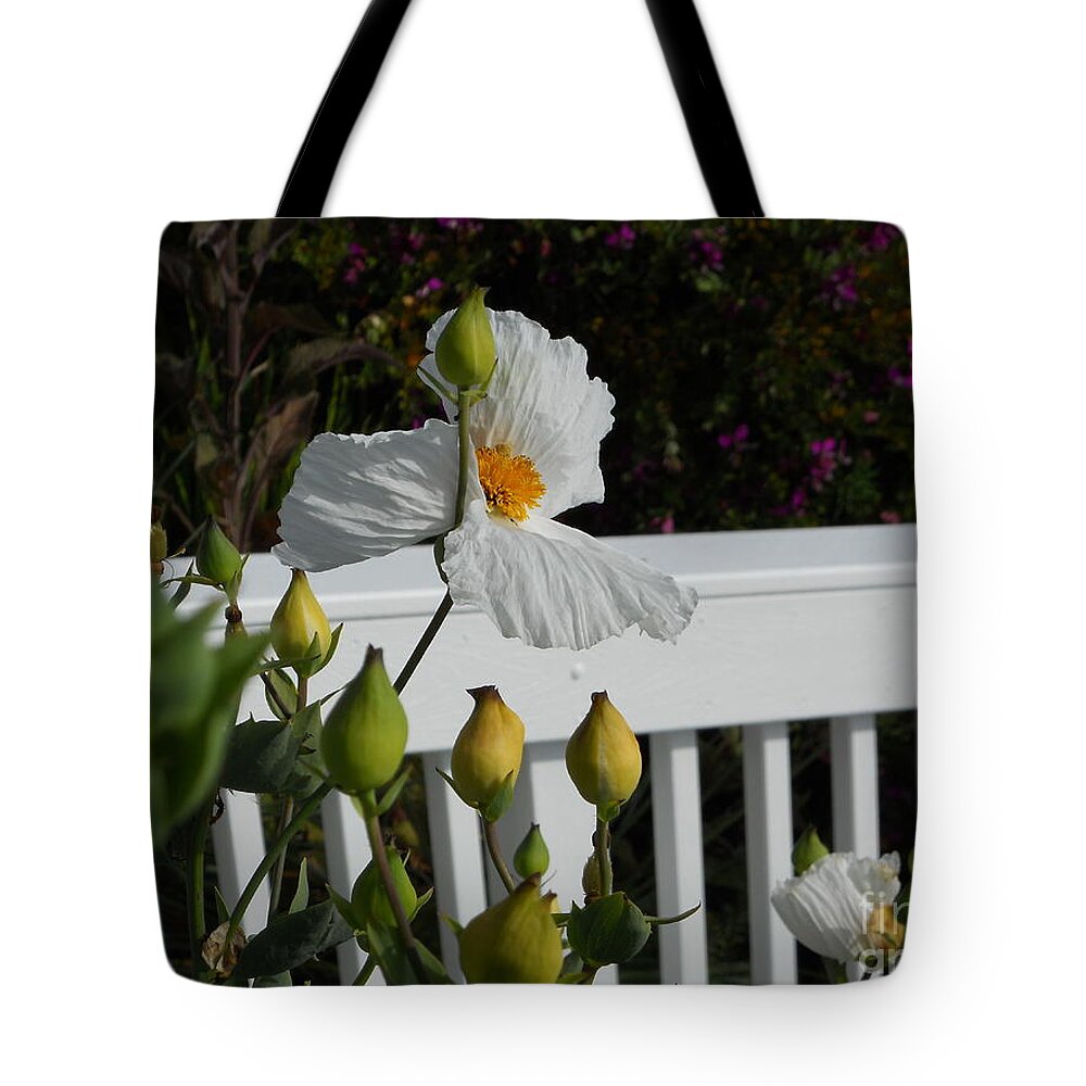 White Flower Tote Bag featuring the photograph A Moment in Spring by Yenni Harrison