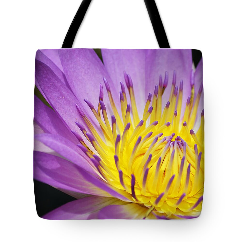 Waterlily Tote Bag featuring the photograph A Moment Stands Still by Melanie Moraga