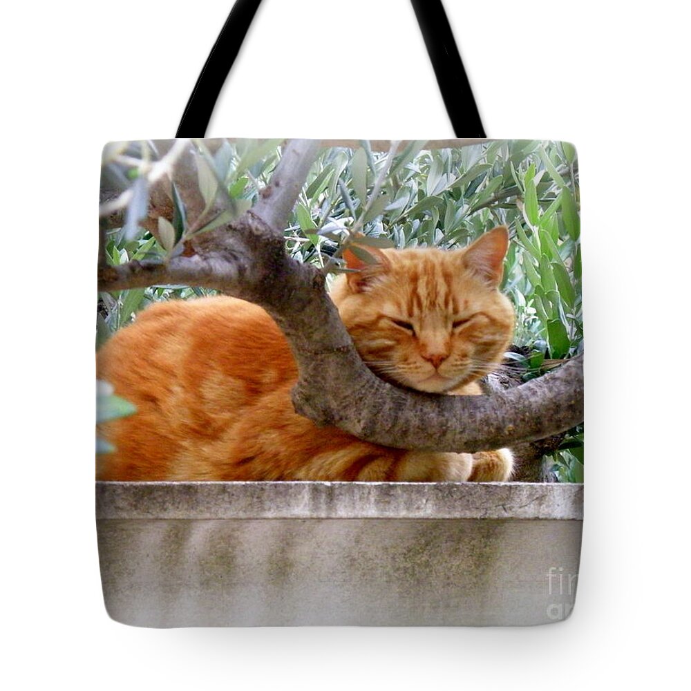 Cat Tote Bag featuring the photograph A Nice Napping Spot by Lainie Wrightson