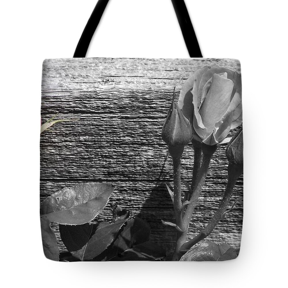 Roses Tote Bag featuring the photograph A Pop of Pink by Dorrene BrownButterfield