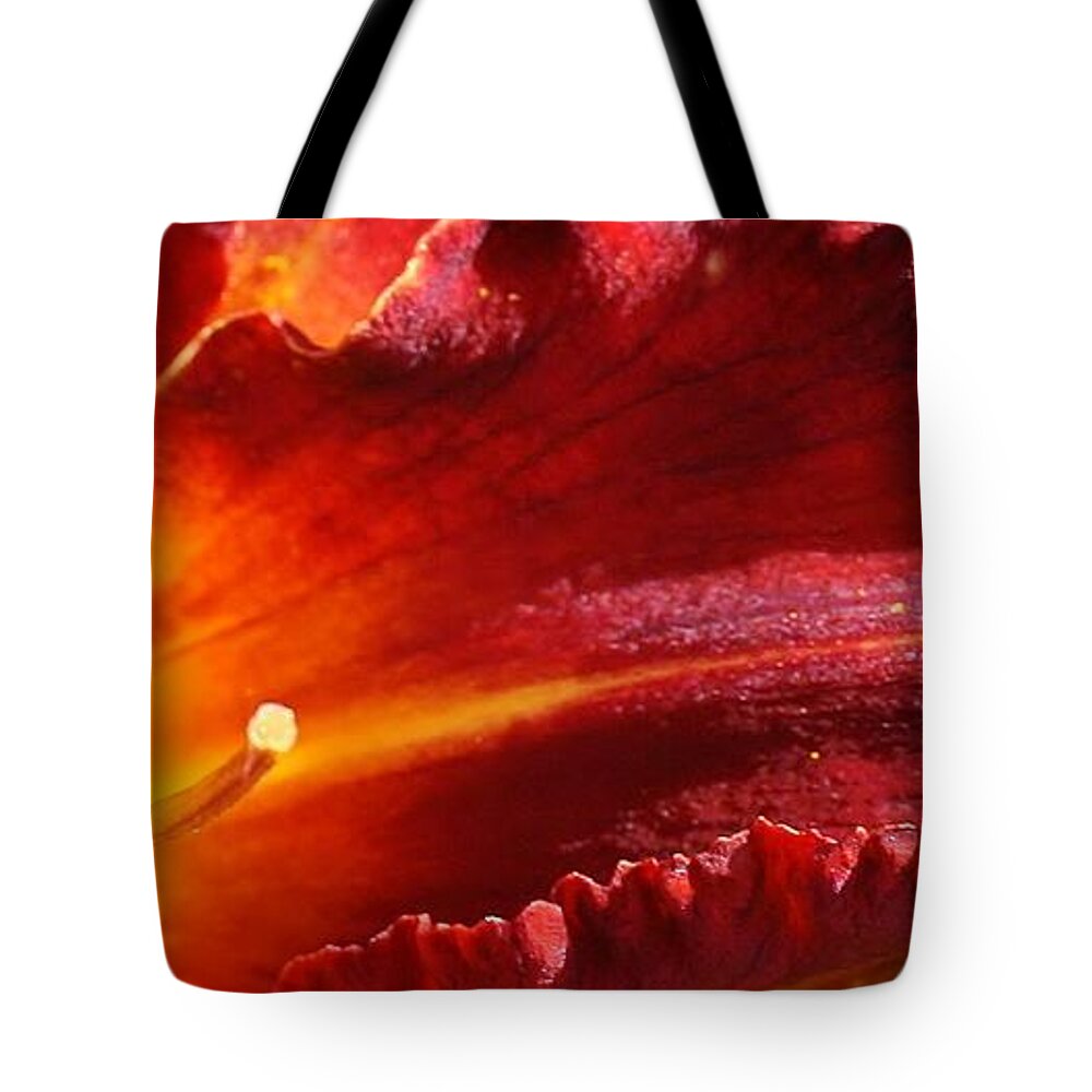 Flora Tote Bag featuring the photograph A Ray of Beauty by Bruce Bley