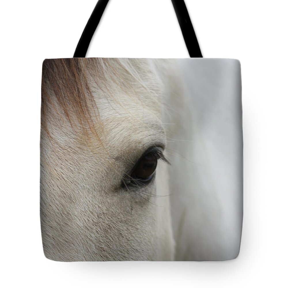 White Horse Tote Bag featuring the photograph A Sense Of Serenity by Kim Galluzzo