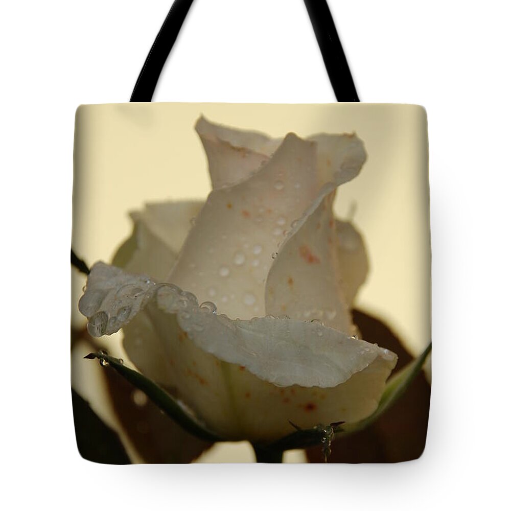 Rose Tote Bag featuring the photograph A Single White Rose by Randy J Heath