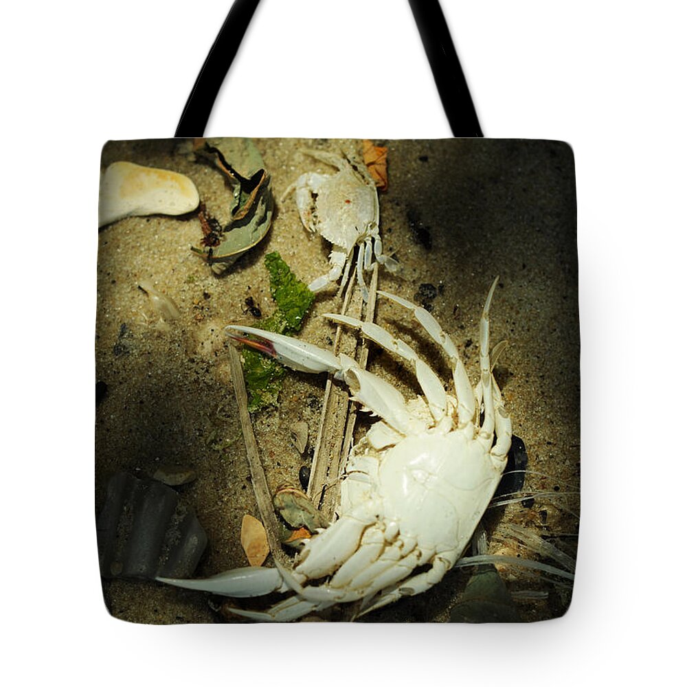 Blue Crab Tote Bag featuring the photograph A Time to Shed by Rebecca Sherman